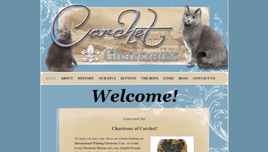 chartreuxcats